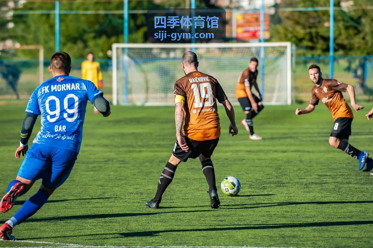 四季体育馆篮球场